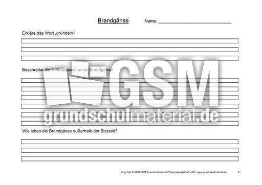 Arbeitsblatt-Brandgänse-2.pdf